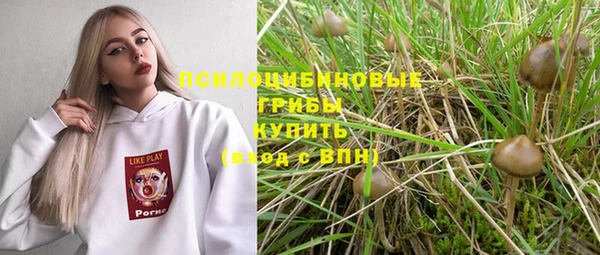 2c-b Верхний Тагил
