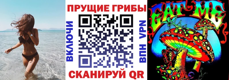 Псилоцибиновые грибы GOLDEN TEACHER  купить наркотик  Волгореченск 